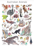 My Tiny Explorer- Australian Animals