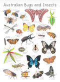 My Tiny Explorer- Australian Insects