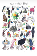 My Tiny Explorer- Australian Birds