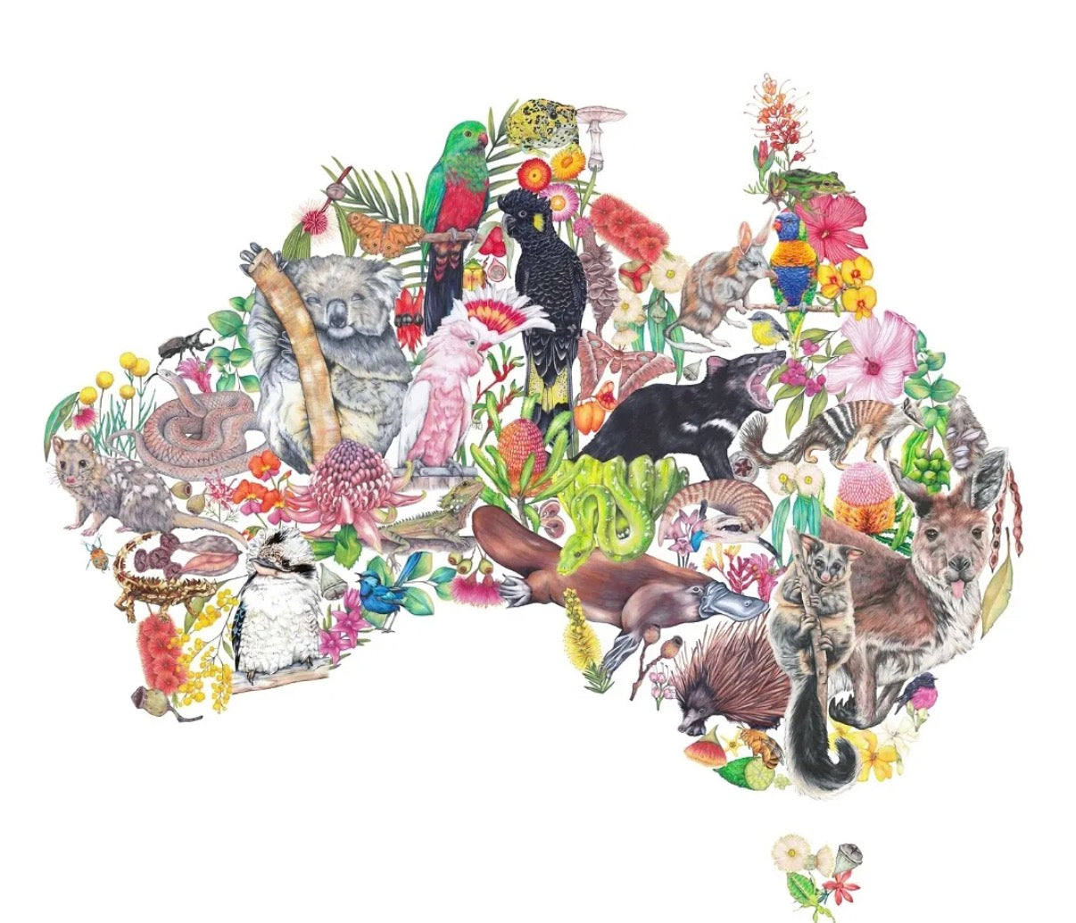 My Tiny Explorer- Australian Wildlife and Nature Map