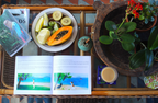 Jacks Maggie Adventure by Kerry Mollenhagen