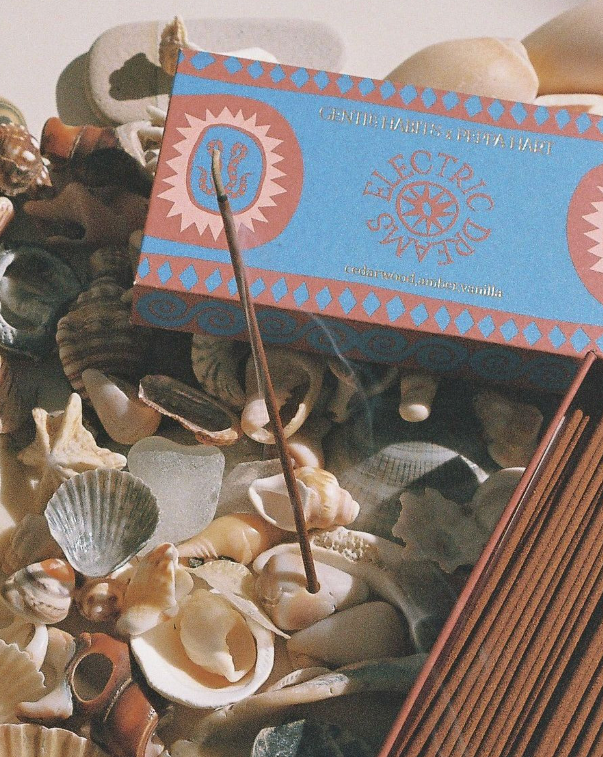 Gentle Habits Incense- Electric Dreams