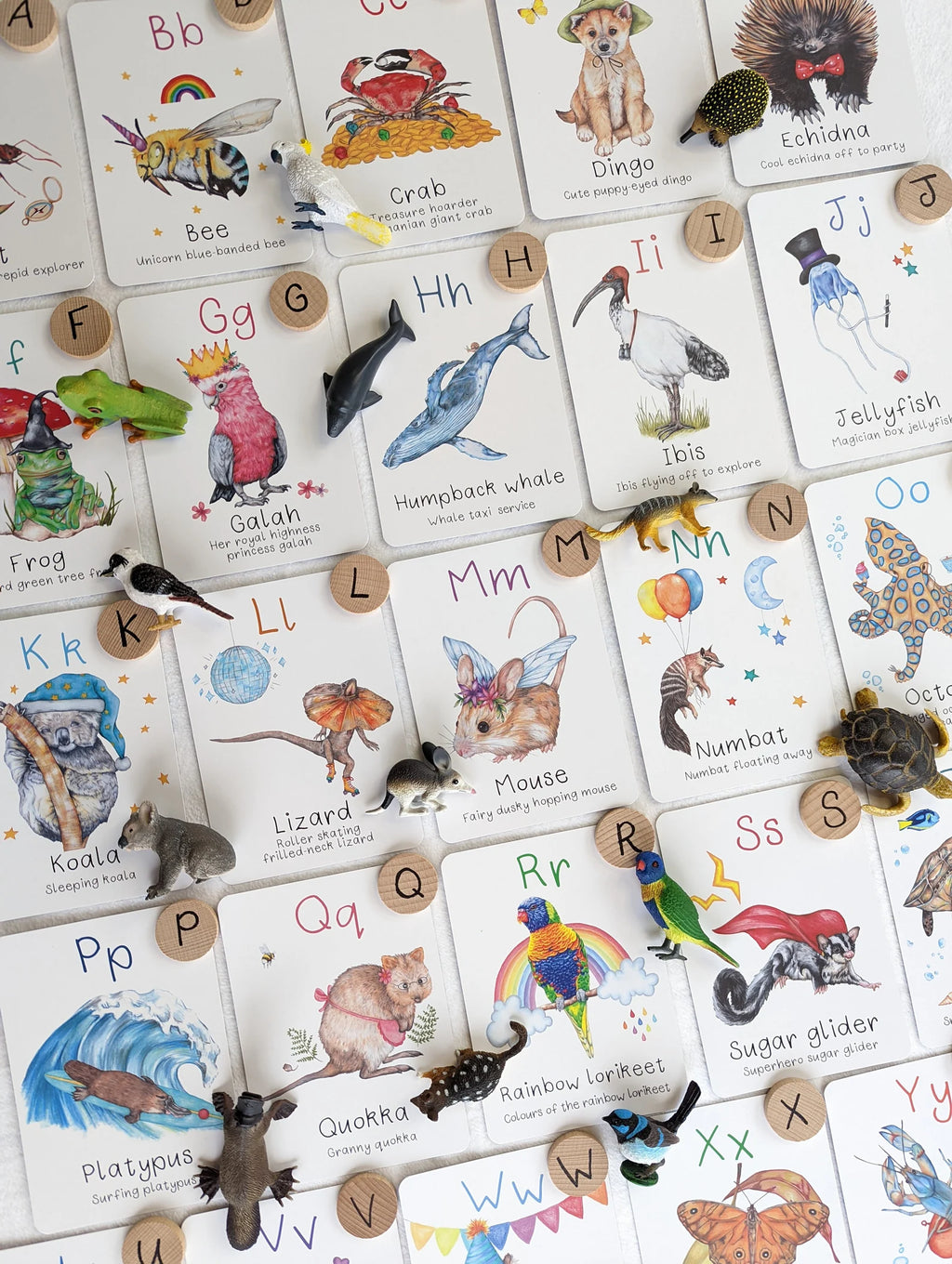My Tiny Explorer- Australian Alphabet Flash Cards