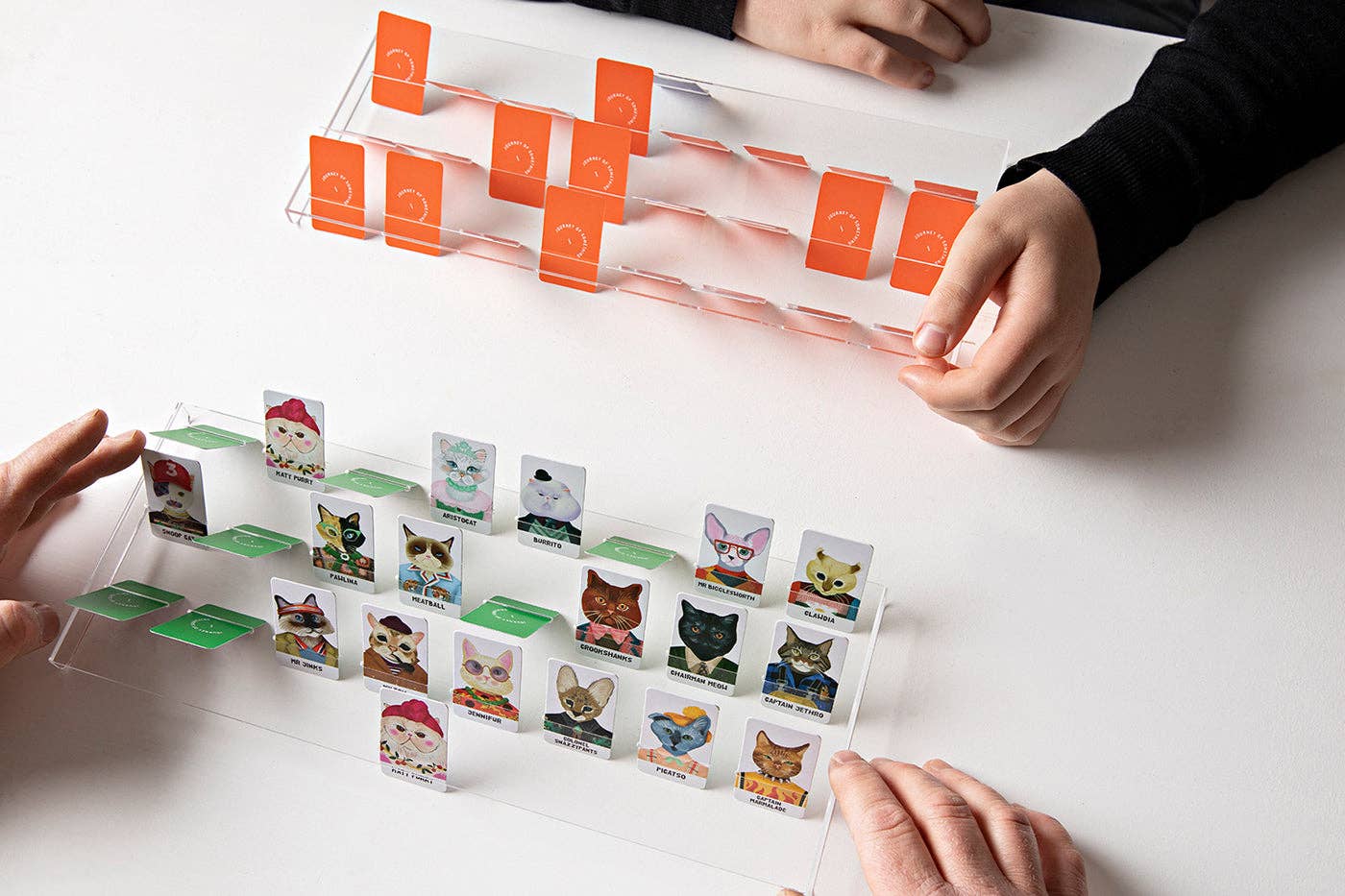 Journey of Something- Guess The Feline Card Game