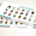 Journey of Something- Guess the Doggy