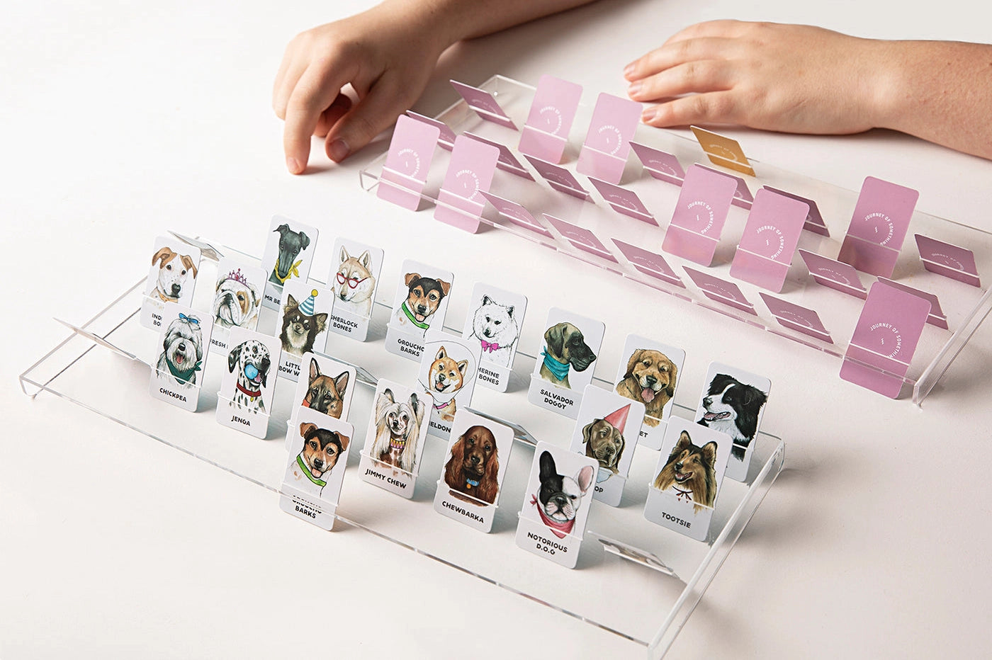 Journey of Something- Guess the Doggy