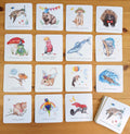 My Tiny Explorer- Australian Animal Memory Card Game