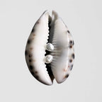 SunVoyager- Pearl Pebbles