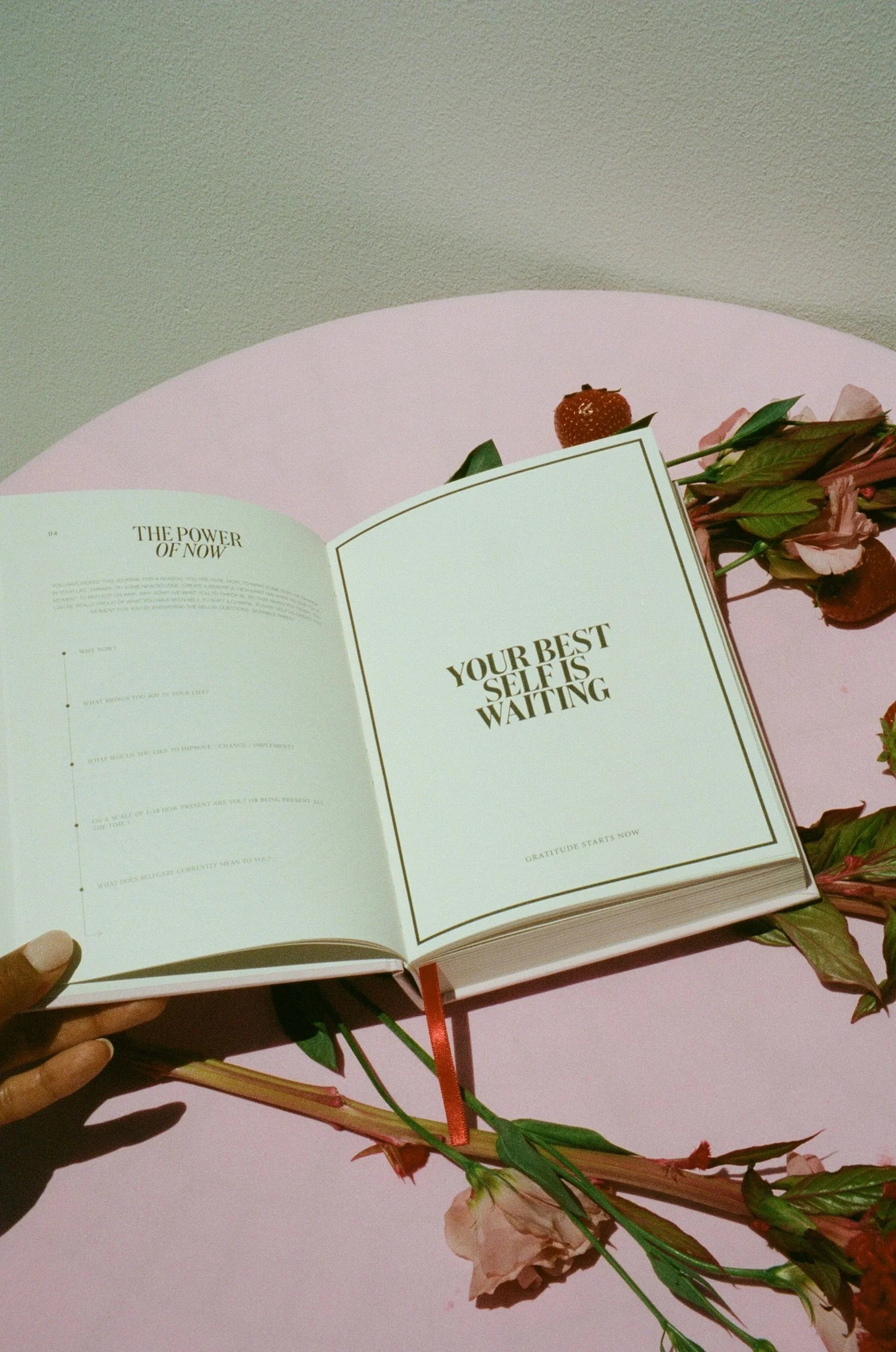 Selfdom- Pink Gratitude Journal