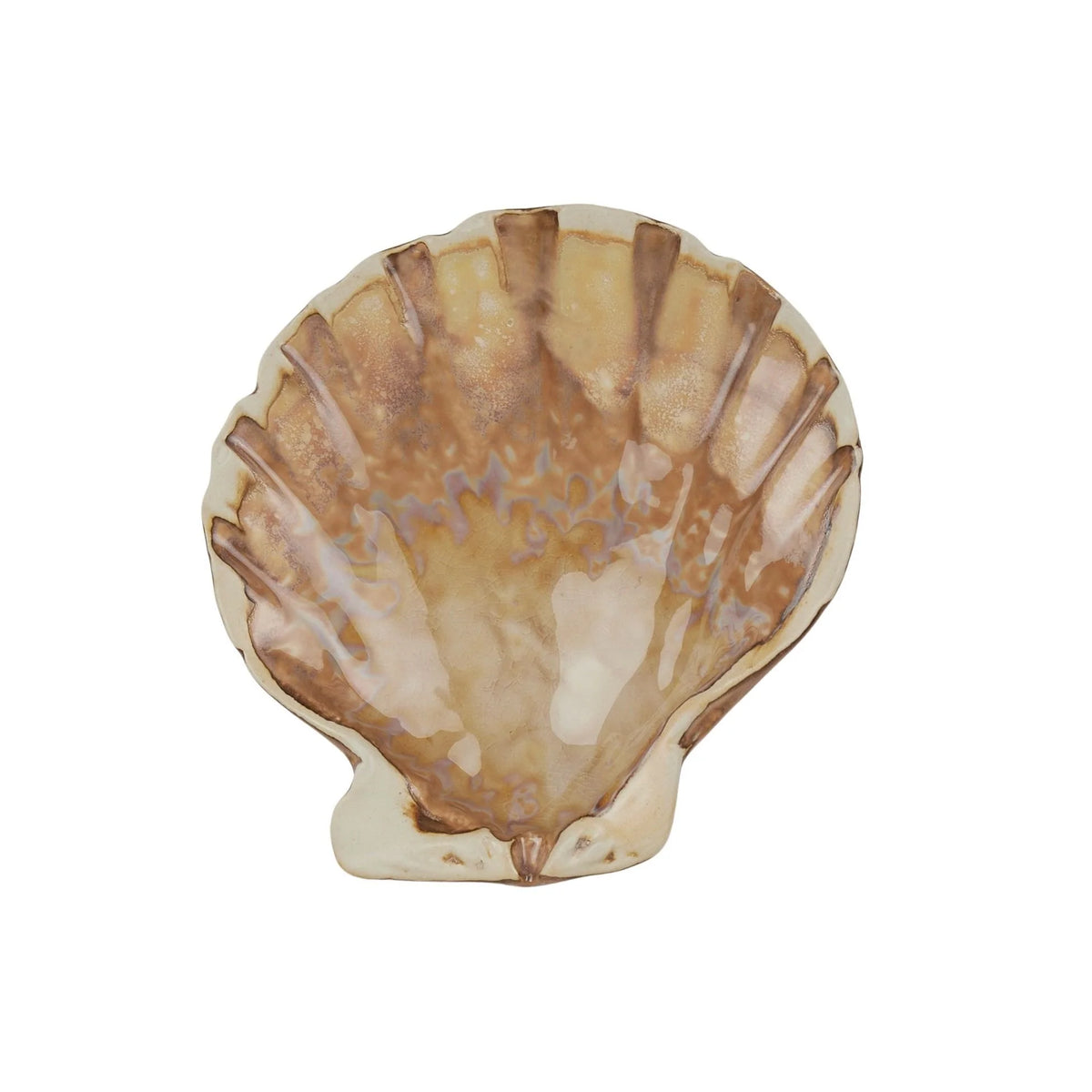 Shell Dish