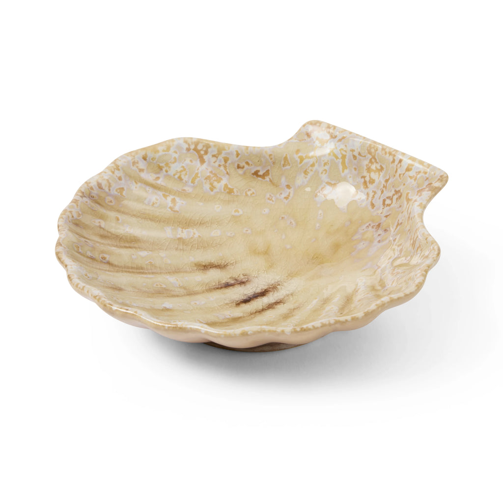 Shell Dish