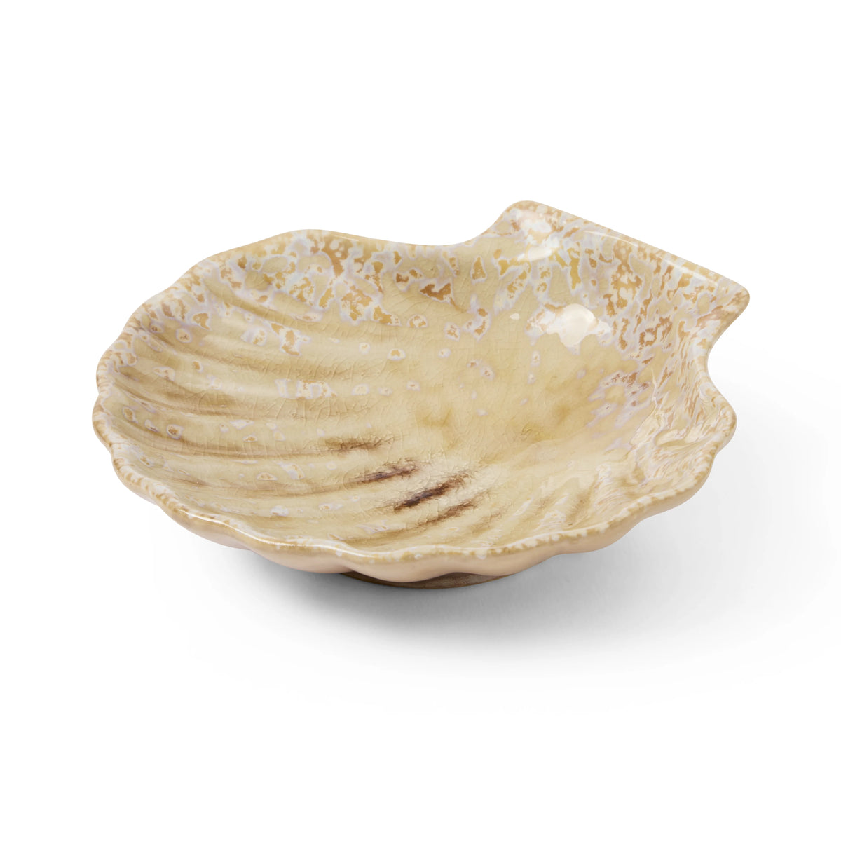 Shell Dish